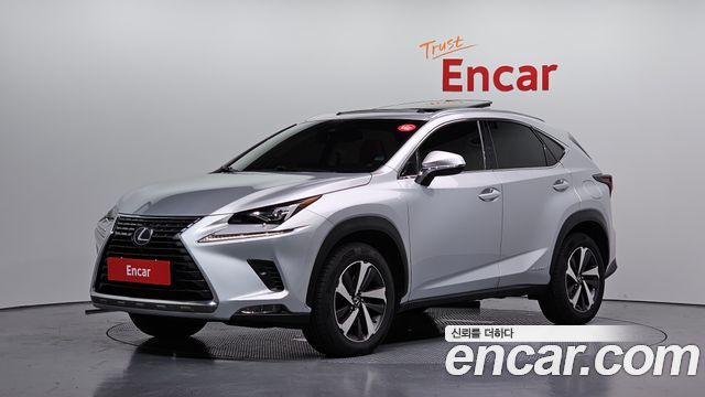 Lexus NX300h 2019