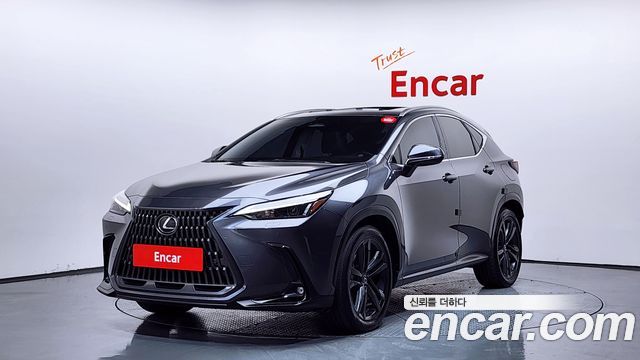 Lexus NX350h 2024