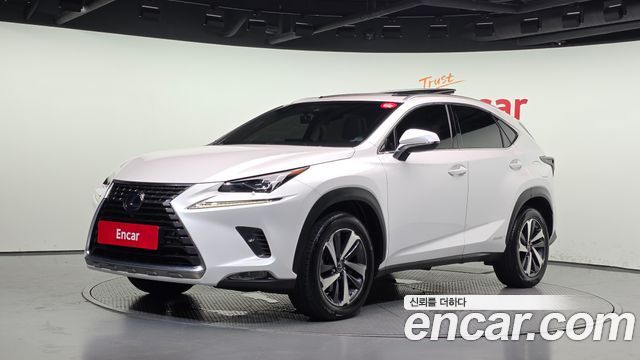 Lexus NX300h 2019