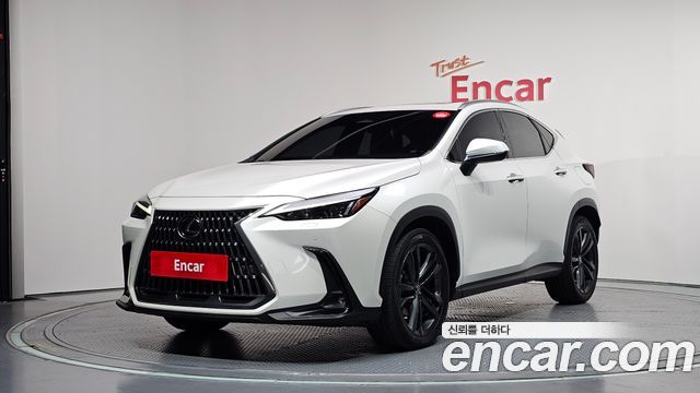 Lexus NX350h 2023