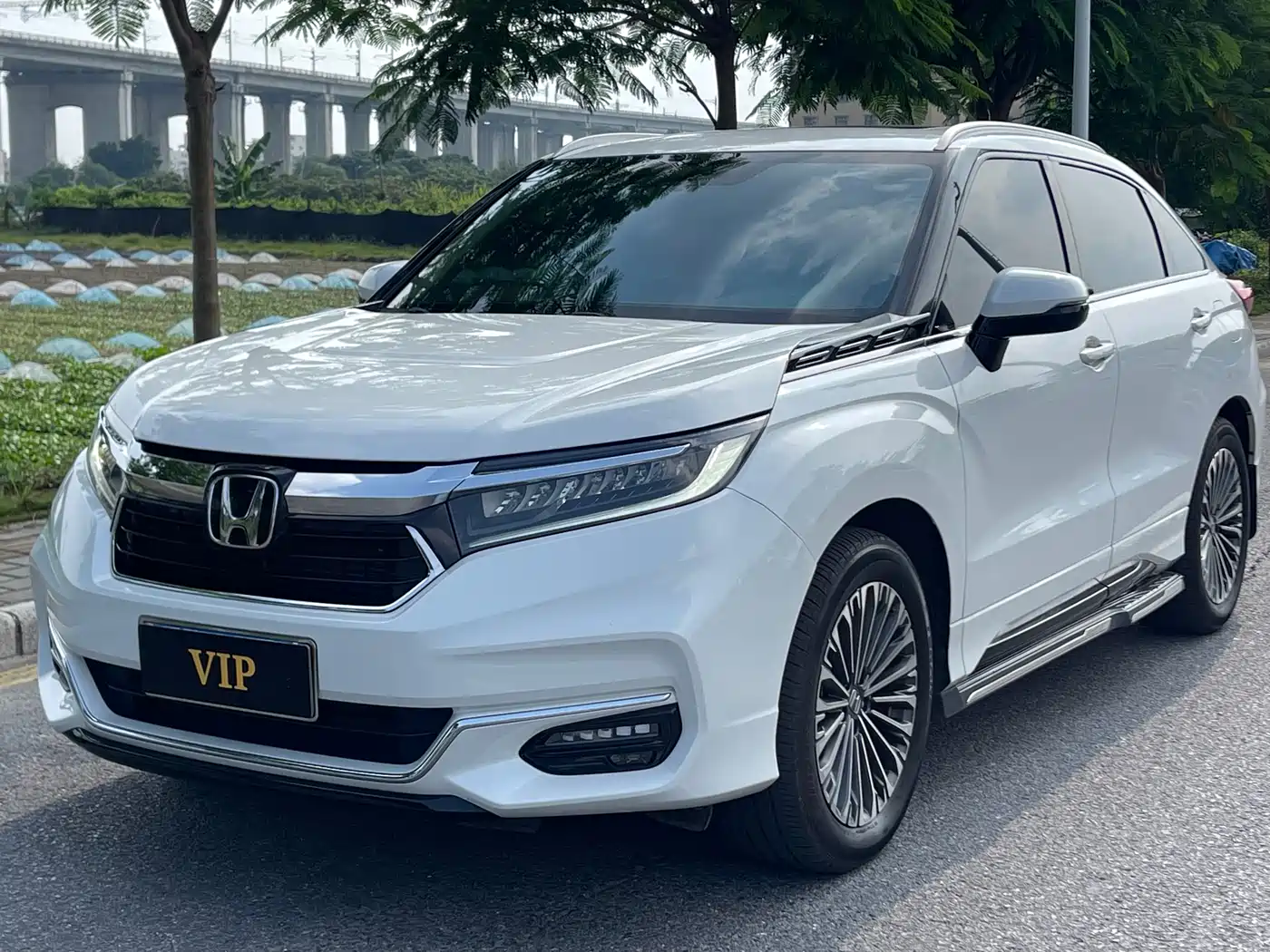 Honda Avancier 2024