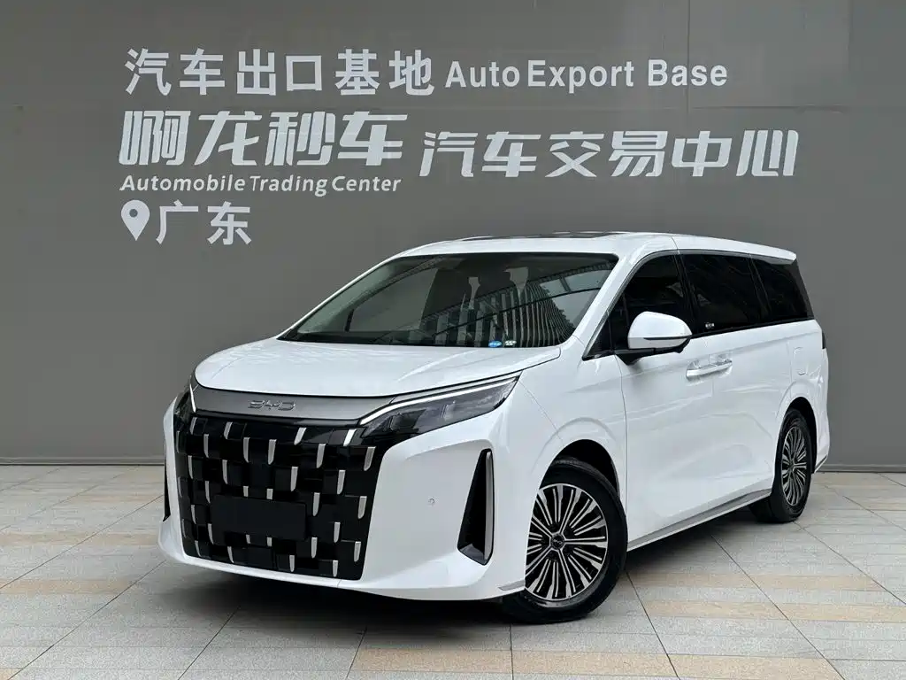 BYD M9 2025