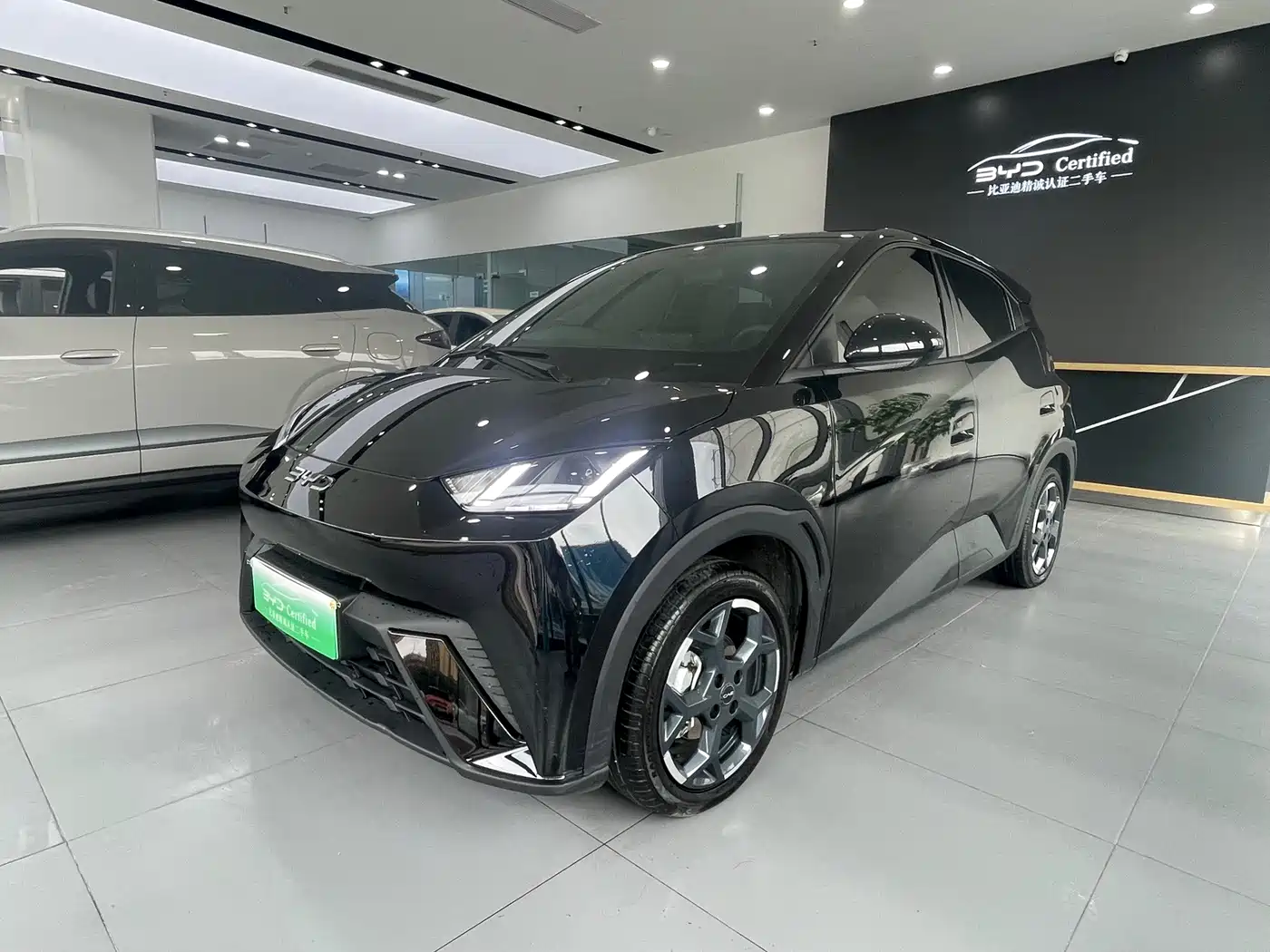 BYD Seagull 2024