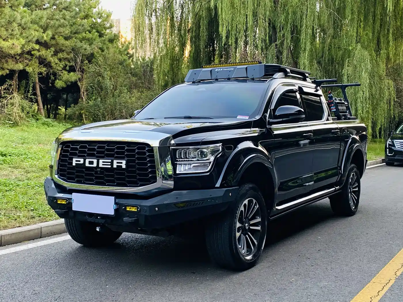 Great Wall Shanhai Poer 2023