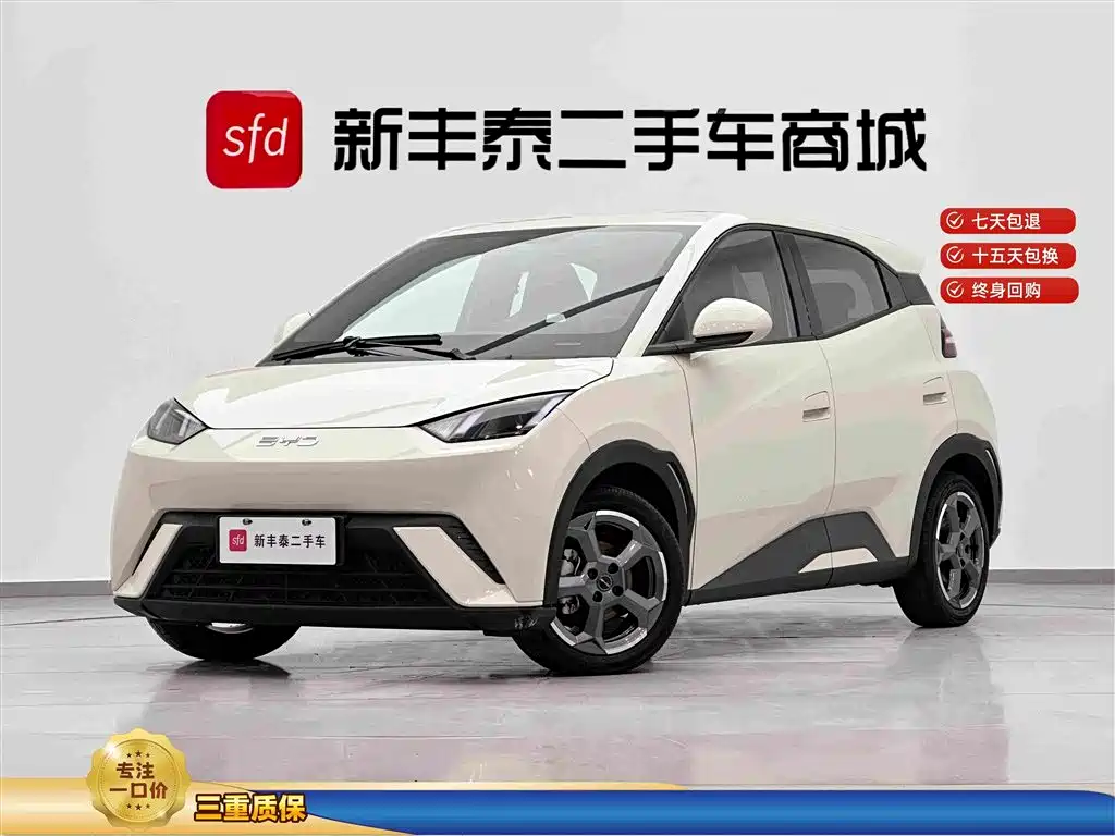 BYD Seagull 2024