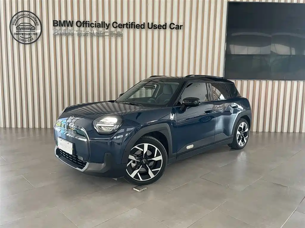 MINI MINI ACEMAN 2024